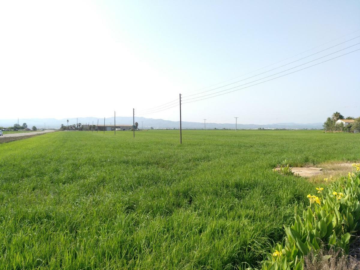 Apartamento Aube Deltebre Exterior foto